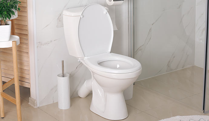 Clean white porcelain toilet fixture installed in a bathroom