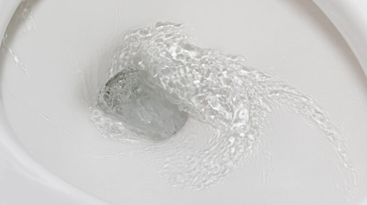 How to Unclog a Toilet Without a Plunger - Handyside