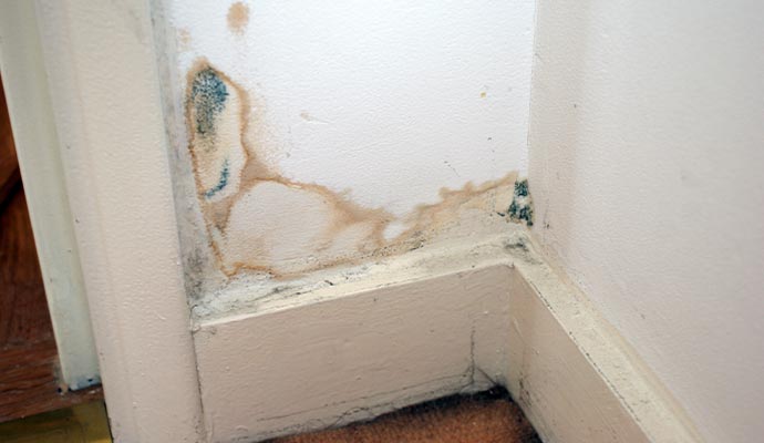 Water damage and mold growth on wall.