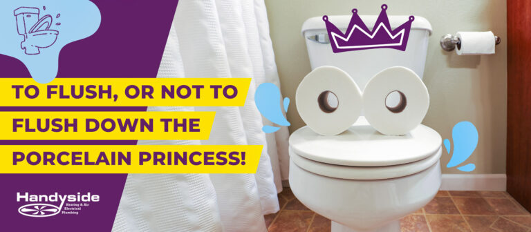 Fun and engaging guide on what to flush down the toilet.